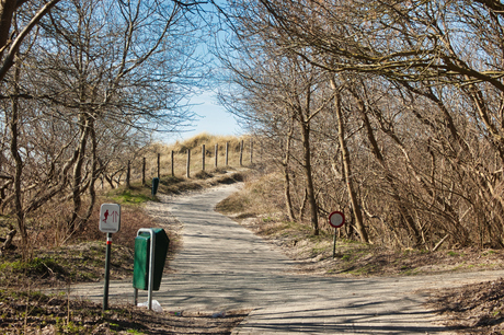 Duinen