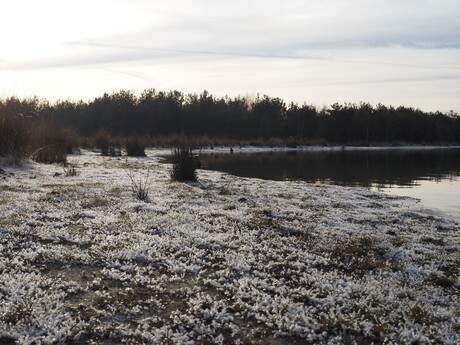 Winterlandschap aan het water