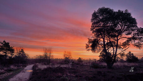 Een prachtige zonsopkomst dinsdagmorgen.