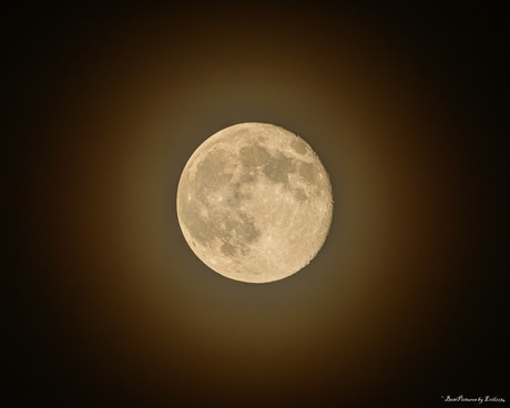 Halo super bevermaan