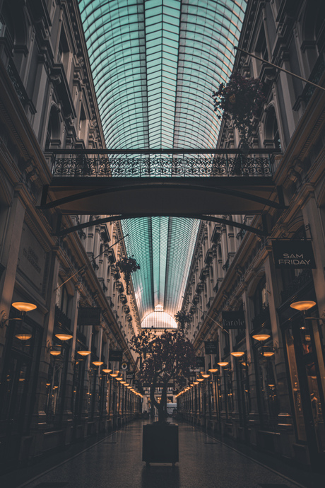 Lijnen naar het licht