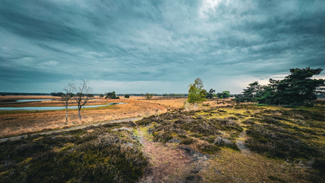 Ook dit is Nederland 