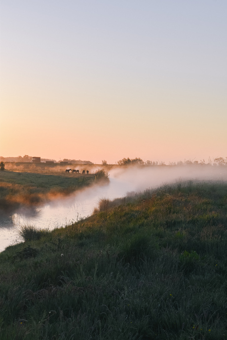 mistige Lente ochtend