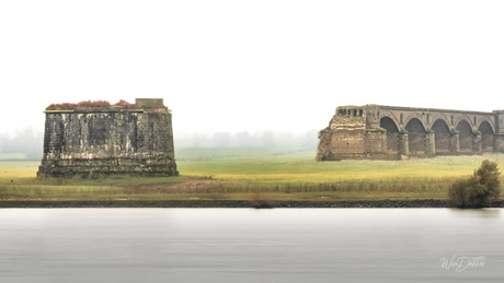 Echoes of Connection