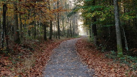 Wandelweg 