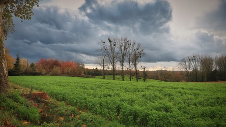 Herfstlandschap