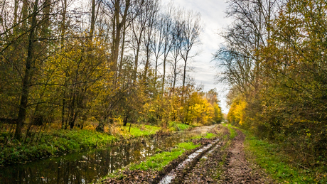 bospad Purmerbos Purmerend