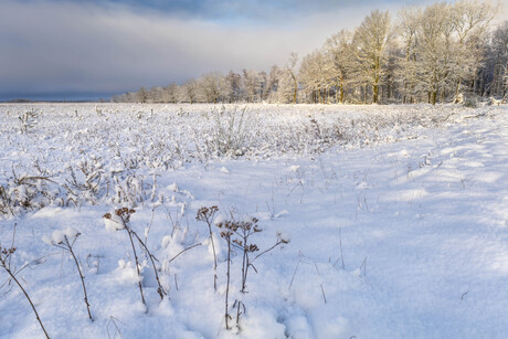 Sneeuwbui onderweg