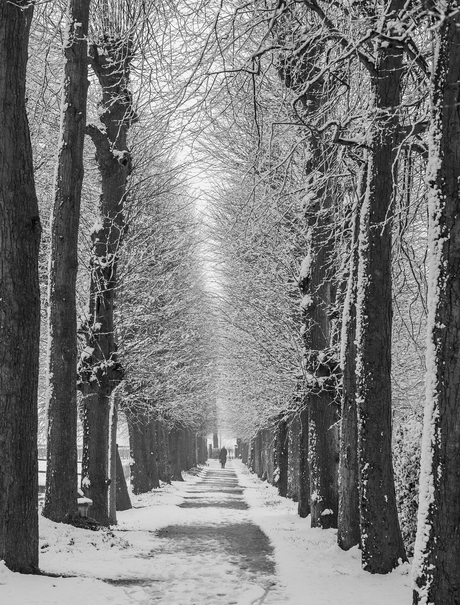 En dan is er wat sneeuw