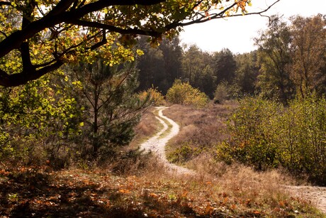 Plaatselijke natuur