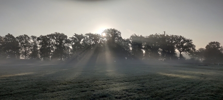 Ochtend in Wierden