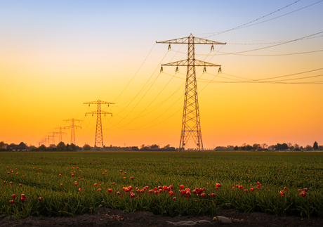 In het laatste licht…