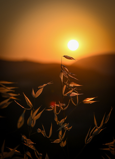 Zonsondergang 
