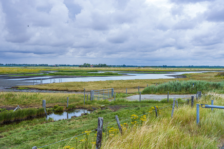 Schakerloopolder Tholen