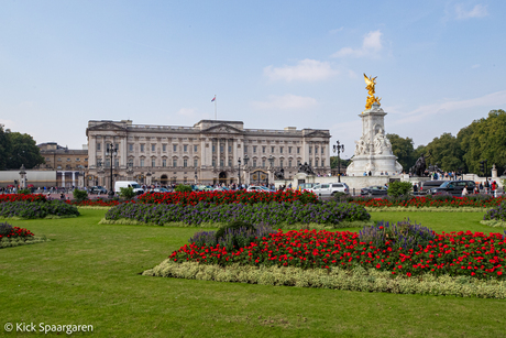 buckingham palace