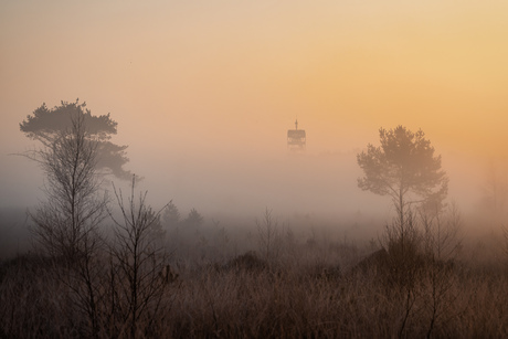 Brandtoren