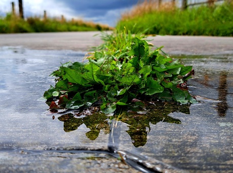 Reflectie - Ik ben kwetsbaar en zit in de knel maar wie ziet dit...