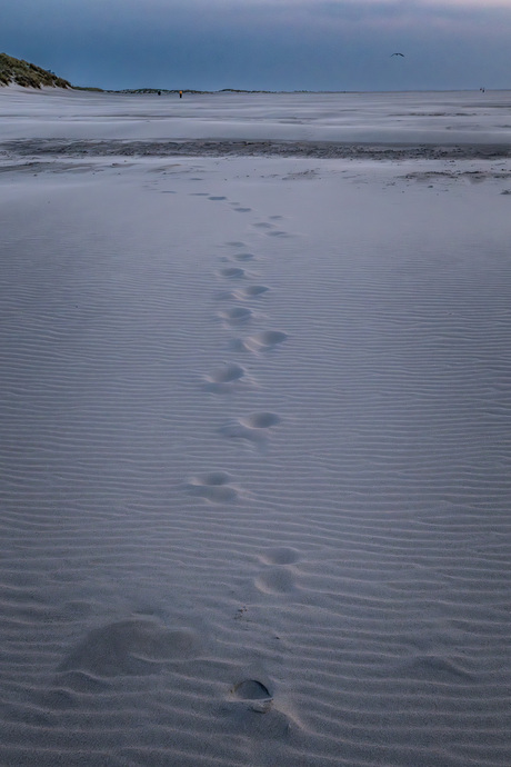 Strand bij vuurtoren Texel