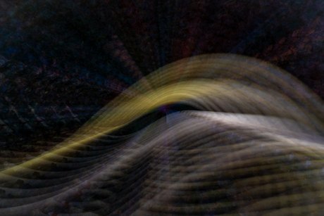 Structuur in de natuur