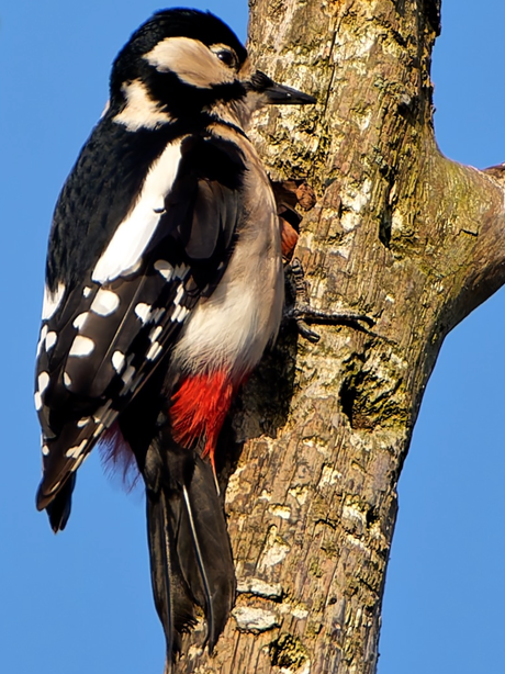 Veel gezien maar mooi in beeld