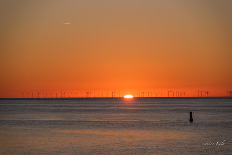 Zonsopkomst achter de dijk