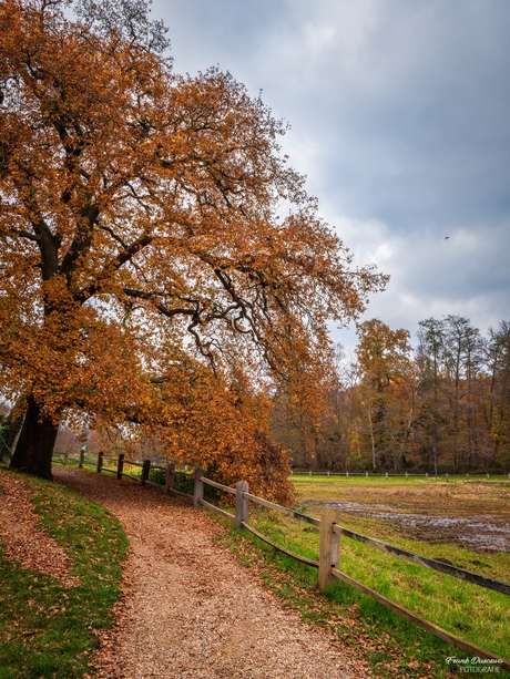 Park Sonsbeek