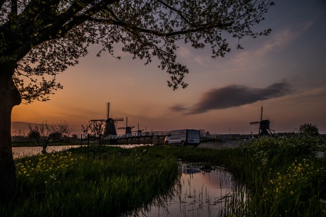 Kinderdijk in de ochtend 