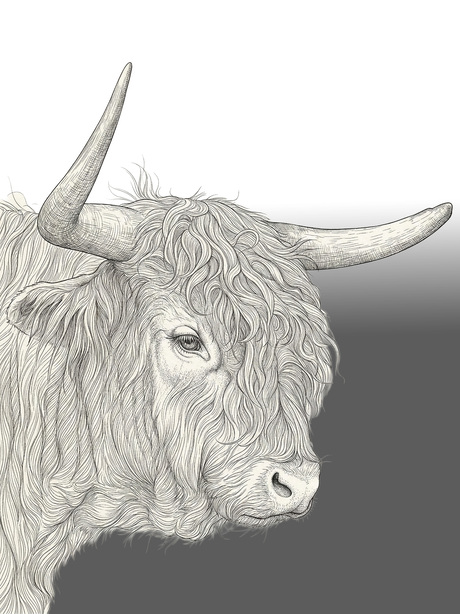 Achtergrond - verloop wit- grijs