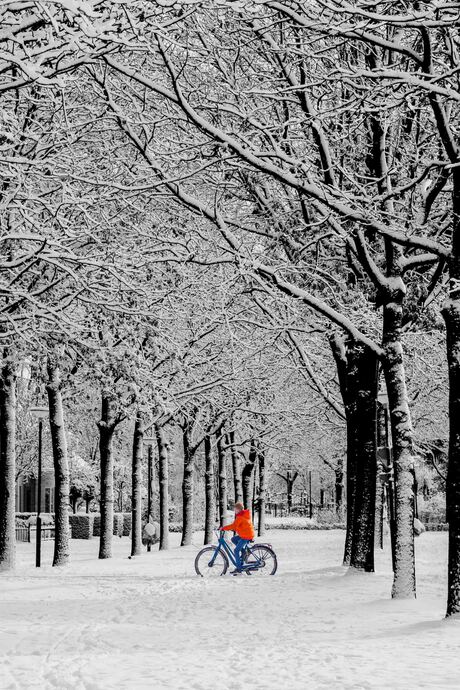 Fietsen in de sneeuw