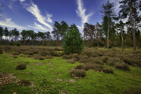 Landschap De Liereman