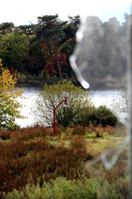 Verlaten zwem en recreatie paradijs in de bossen