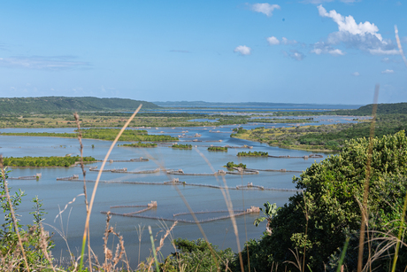 Zuid Africa, Kosi Bay
