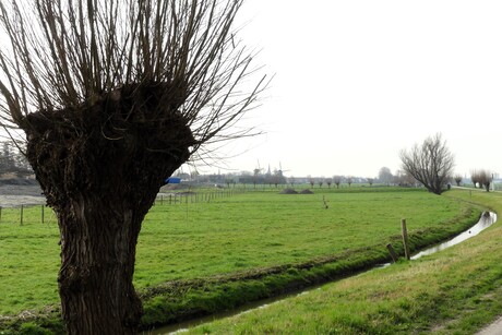 P1300299  Mistig uitzicht langs Molenpad   Maasland  6 mrt 2026  