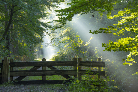 When the sun comes up