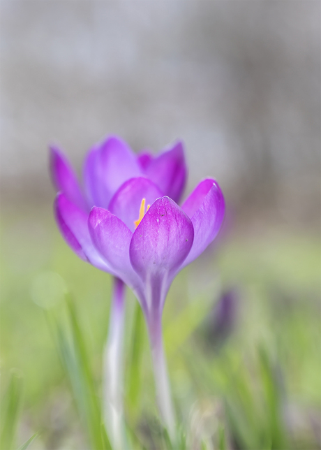 Het voelt als lente!