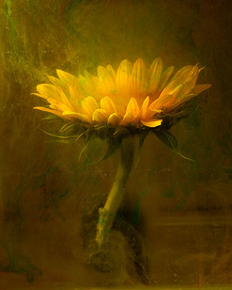 Painterly Photograph