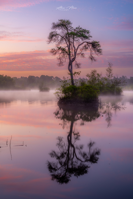 Kleurrijke zonsopgang