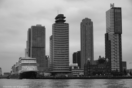 ms Rotterdam en hotel new york, HAL