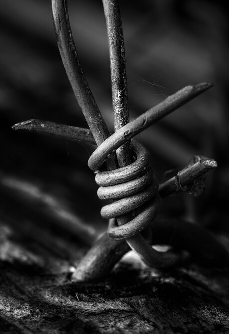 Bound in Time