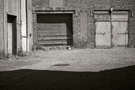Terneuzen (treurtrip)