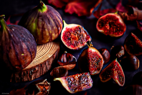 Under a fig tree