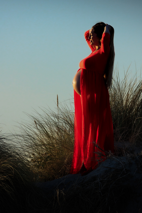 De nieuwe wereld komt er aan!