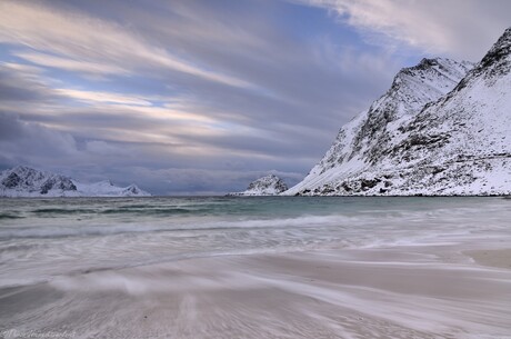 Windswept Beach