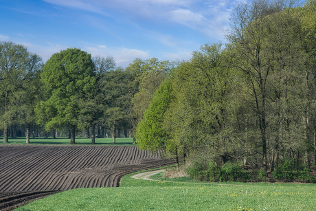 Landgoed Hoog erf