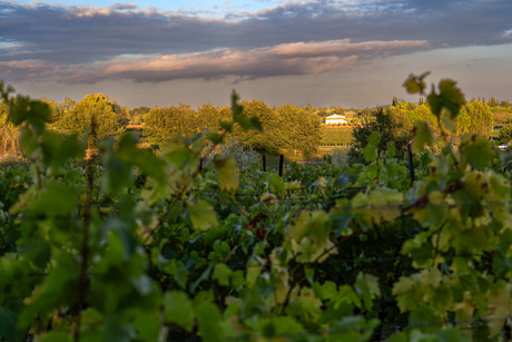 Provencaals vergezicht