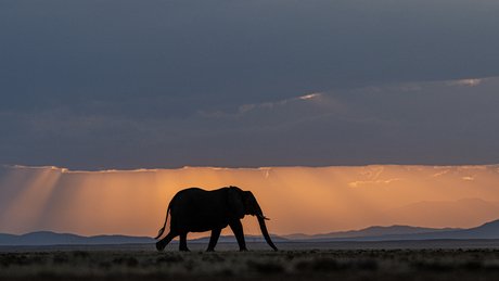 Bij het vallen van de avond