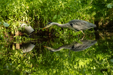 Spiegelbeeld