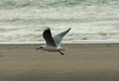 Prepare for Landing...........