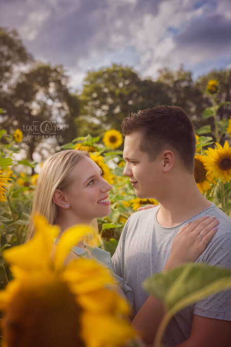 Smile at the world, and let your love bloom like a sunflower in the sun. 🌻💖 - "Smile at the world, and let your love bloom like a sunflower in the sun." 🌻💖 - foto door Look.at.You op 21-09-2023 - deze foto bevat: liefde, koppel, zonnebloem, daglicht, love, bloem, glimlach, plant, wolk, lucht, mensen in de natuur, flitsfotografie, geel, vrolijk, oranje