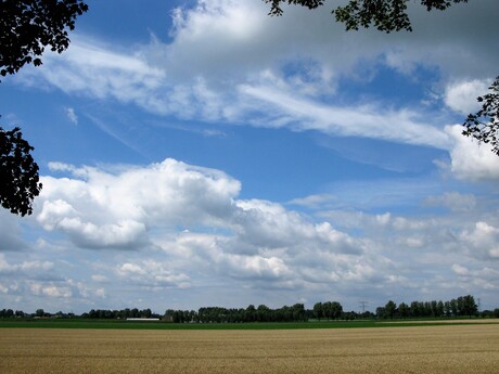 Landschap in omgeving Oudenbosch